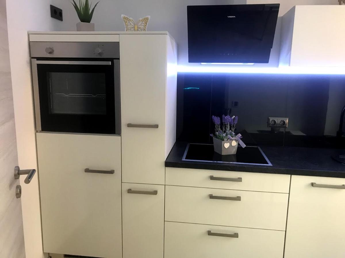 Salzhausblick Business Apartments - Zentrale Lage Am Salzhaus - Mwst-Rechnung Verfuegbar تسيتاو الغرفة الصورة